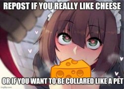 repost if you really like cheese Meme Template