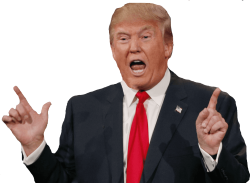 Donald Trump Meme Template