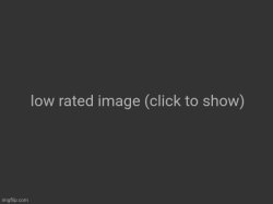 low rated image (click to show) Meme Template