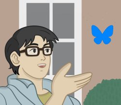 Bluesky Meme Template