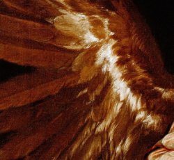 Wings. Meme Template