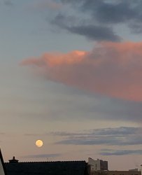 Daytime Full Moon. Meme Template