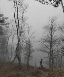 Nature. Meme Template