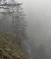 Nature. Meme Template