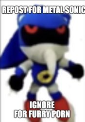 stop the furry porn Meme Template