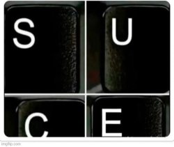 Success Meme Template