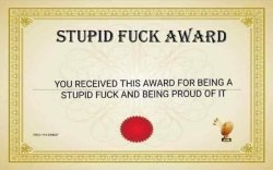 Stupid Fuck Award Meme Template