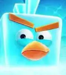 Ice Bird Meme Template