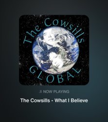cowsills believe Meme Template