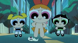 Blossom found a clothing Meme Template