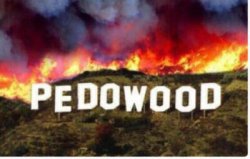 Pedowood Meme Template