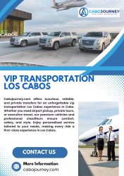 VIP Transportation Los Cabos Meme Template