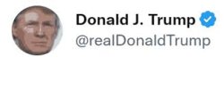 Trump tweet Meme Template