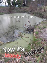 England now Meme Template