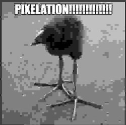 PIXELATIIONNN Meme Template