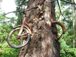 Tree with a cycle Meme Template