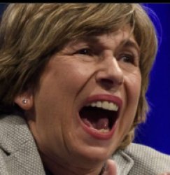 Randi Weingarten Meme Template