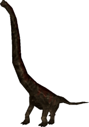 Paluxysaurus (FMM UV-32) Meme Template