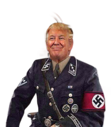 Trump Nazi neo-Nazi white supremacist domestic terrorist Meme Template