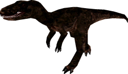 Female Basin Juratyrannus Meme Template