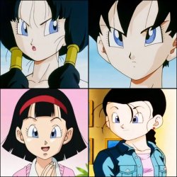videl forms Meme Template
