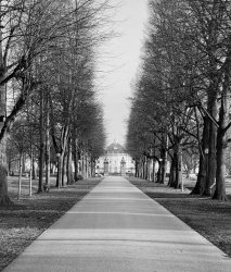 View of Ludwigsburg Palace from Königsallee. Photographed with t Meme Template