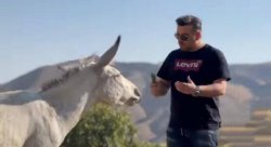 Talking to a donkey Meme Template