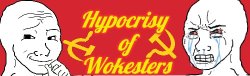 Hypocrisy of Wokesters Meme Template