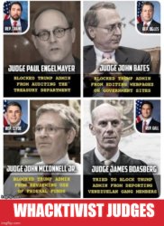 Crooked Democrat Judges Meme Template