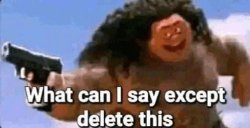 what can i say except delete this Meme Template