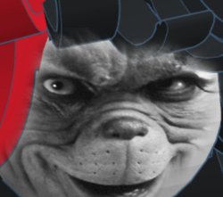 The Graire Meme Template
