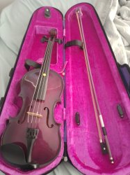 Purple violin Meme Template