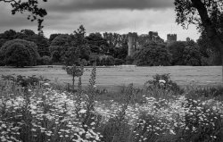 Looking toward Malahide Castle. Meme Template