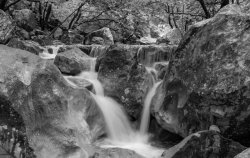 0003 | Paklenica National Park  Nikon D3300  ISO-100  f/6.3  1/5 Meme Template