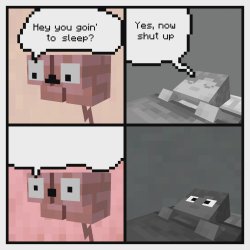 minecraft hey you going to to sleep Meme Template