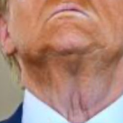 Trumps Vagina Is On His Neck Meme Template