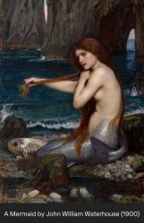 Mermaid. Meme Template