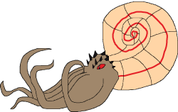 Male Ammonite (Paleoverse + EOIverse) Meme Template