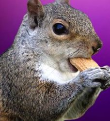 peanut Meme Template