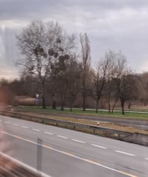 Drive. Meme Template