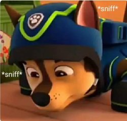 *sniff sniff* Meme Template