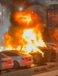 FIre Teslas Meme Template