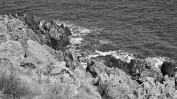 Coast. Meme Template