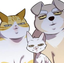 KKP Bro's Meme Template