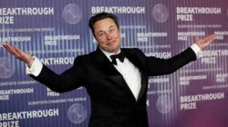 Elon Musk Meme Template