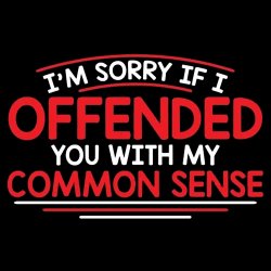 sorry if i offended you Meme Template