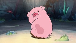 pig Meme Template
