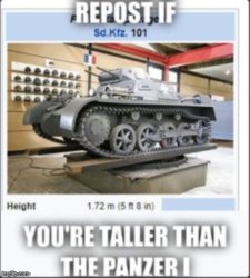 repost if taller than panzer 1 Meme Template