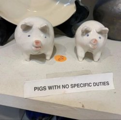 pigs with no specific duties Meme Template