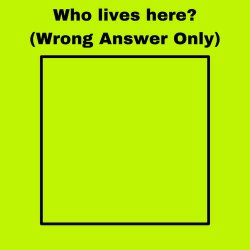 who lives here ? (wrong answers only) Meme Template